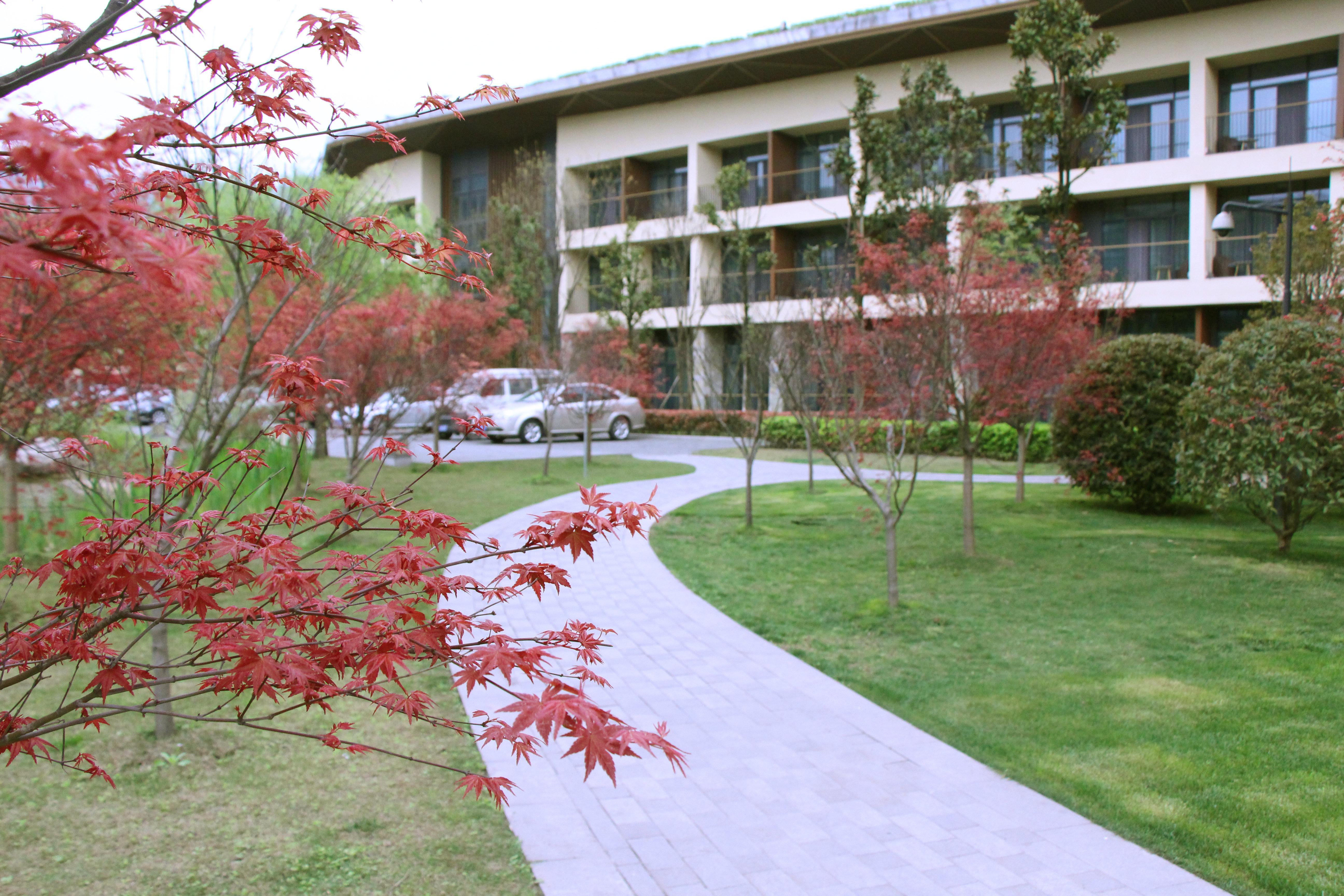 Holiday Inn Express Emei Mountain By Ihg Emeishan Exterior foto