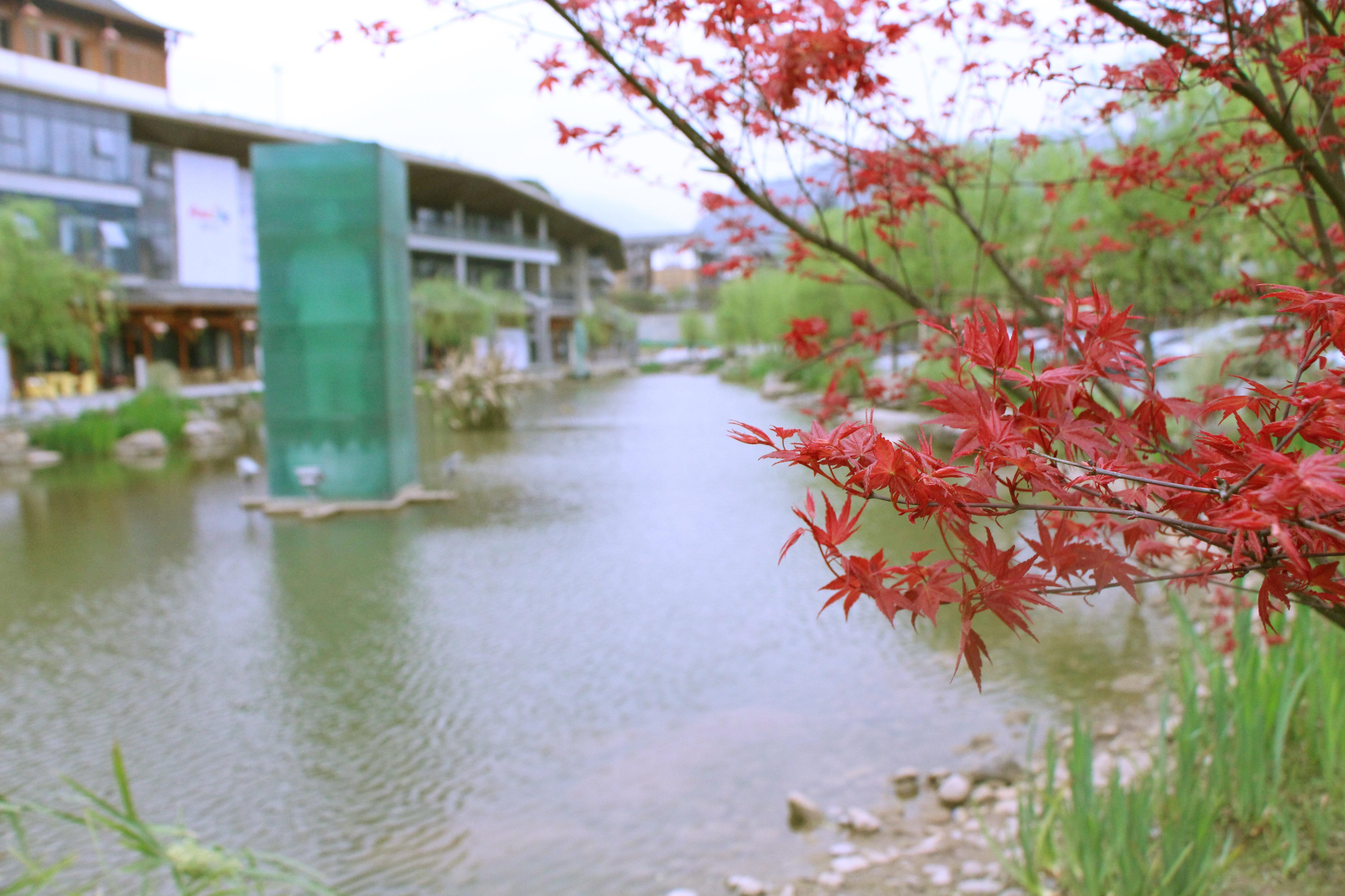 Holiday Inn Express Emei Mountain By Ihg Emeishan Exterior foto