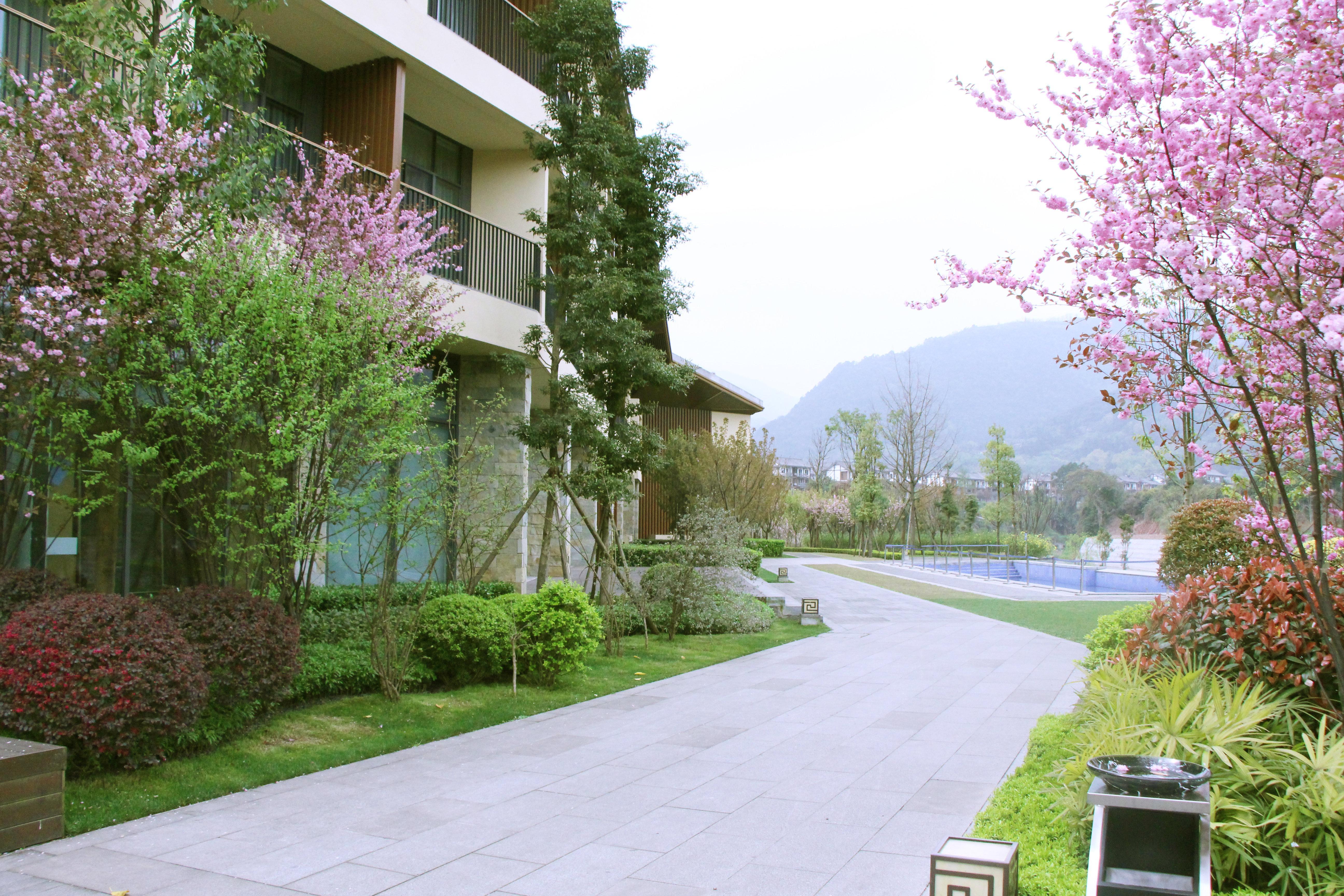 Holiday Inn Express Emei Mountain By Ihg Emeishan Exterior foto