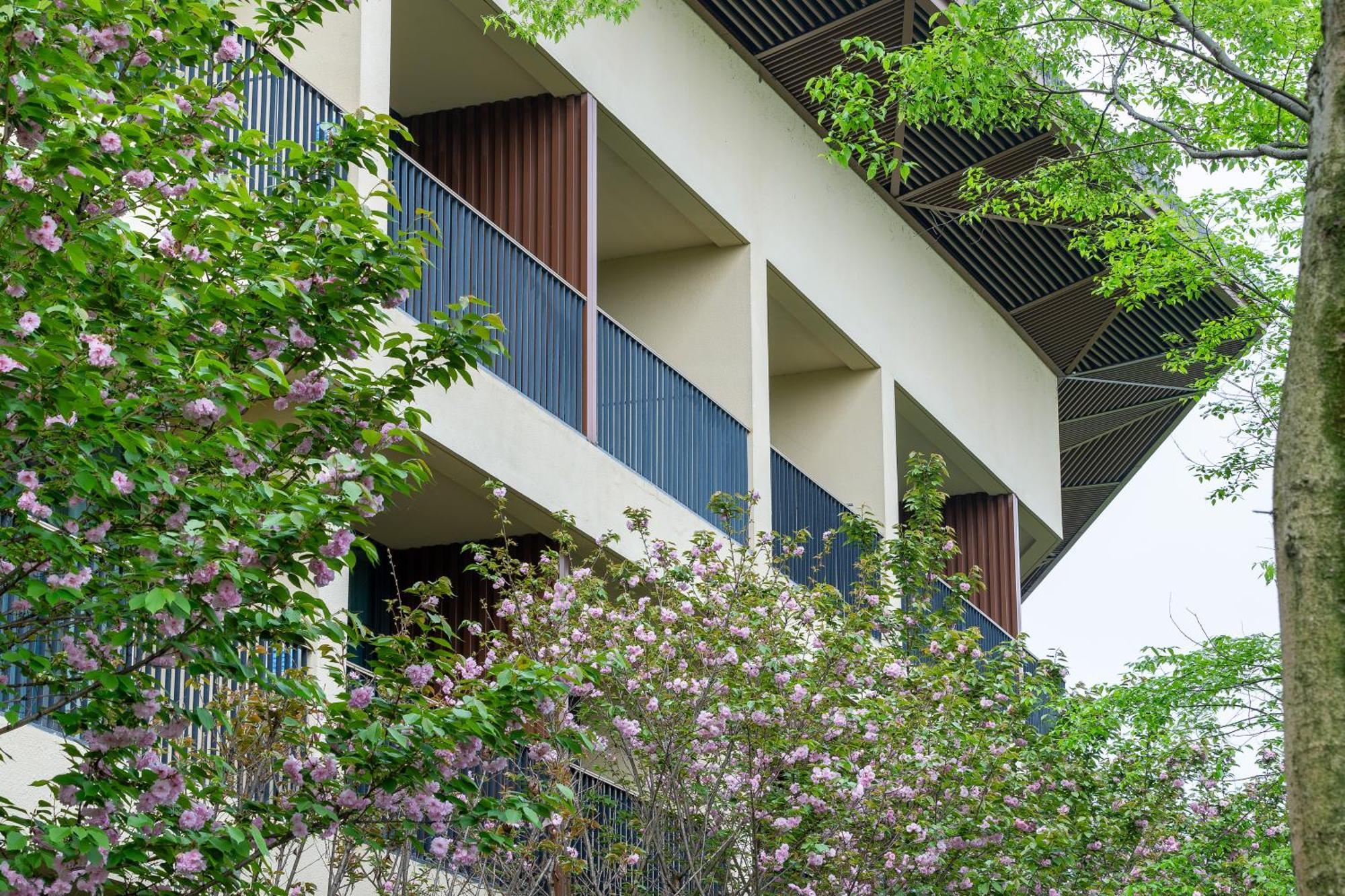 Holiday Inn Express Emei Mountain By Ihg Emeishan Exterior foto